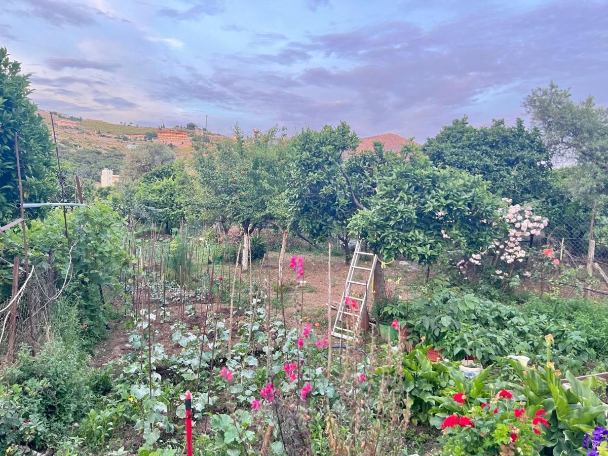 Elpis Guest House Himarë Eksteriør billede